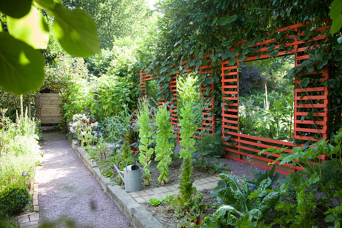 Slatted screen with mirror and kiwi vine in kitchen garden