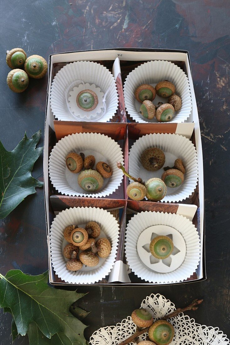 Paper cake cases and acorns in divided box