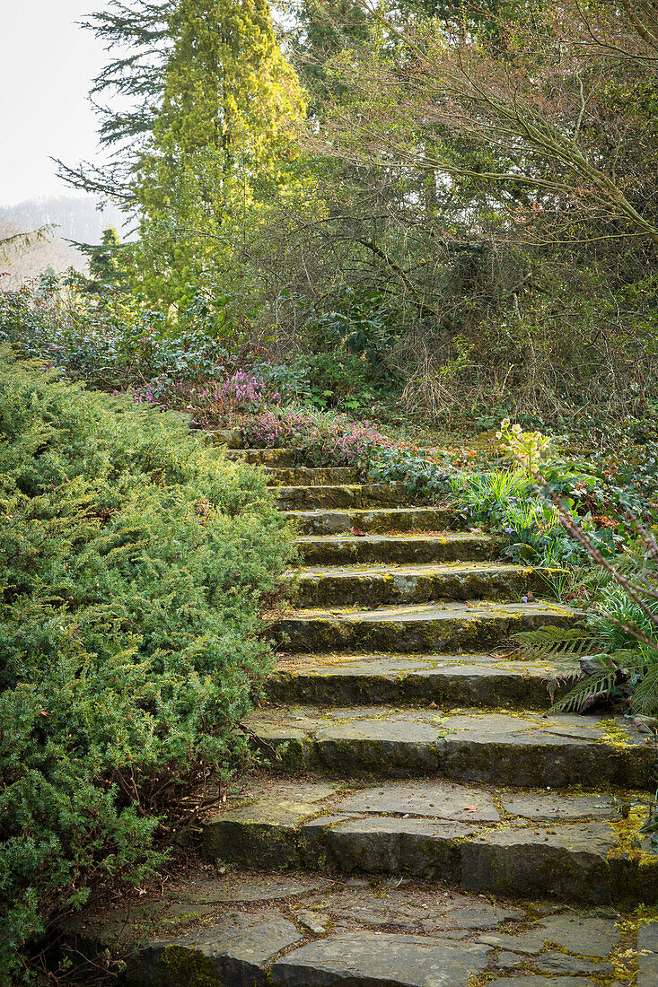 Geschwungene Steintreppe durch einen Garten
