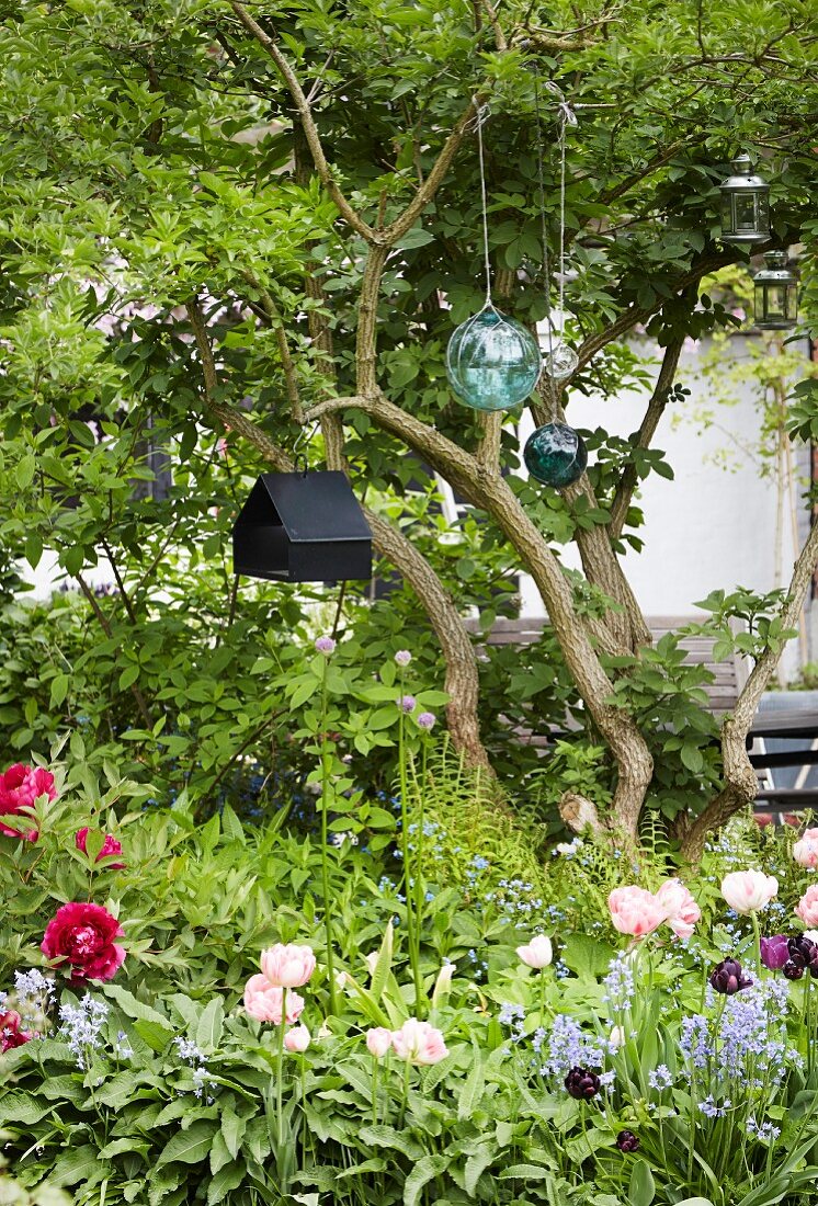 Spring flowers, suspended glass spheres and bird nesting box in garden