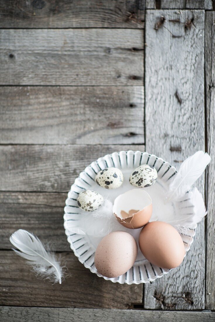 Eggs and feathers in flan tin on weathered wood