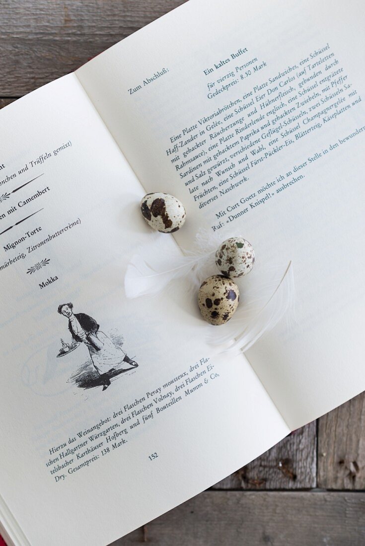 Quail eggs and white feathers on open cookery book