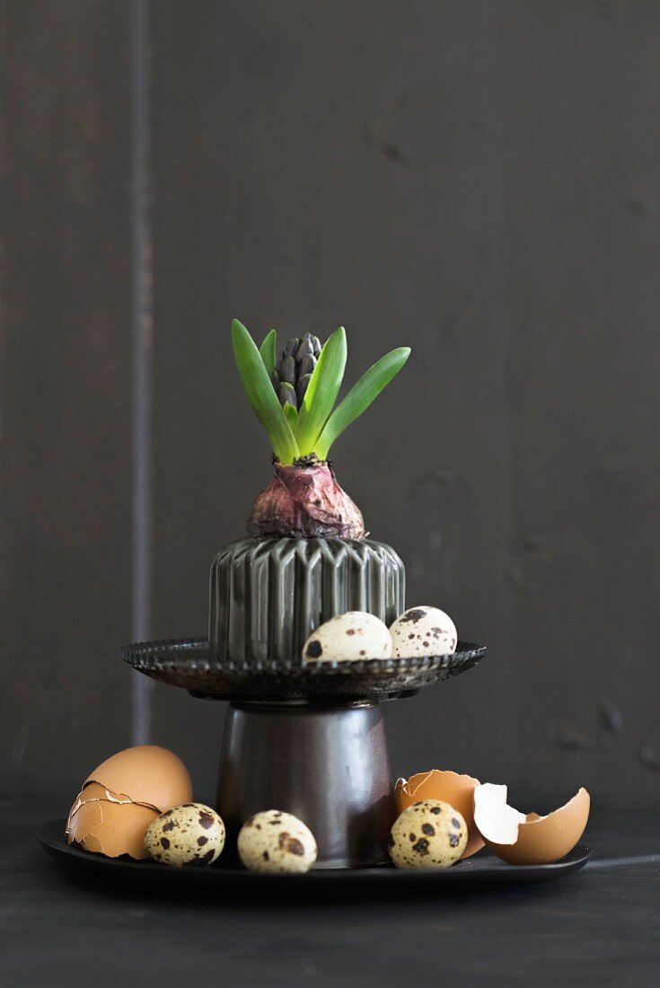 Easter arrangement of hyacinth, various eggs and egg shells on black cake stand