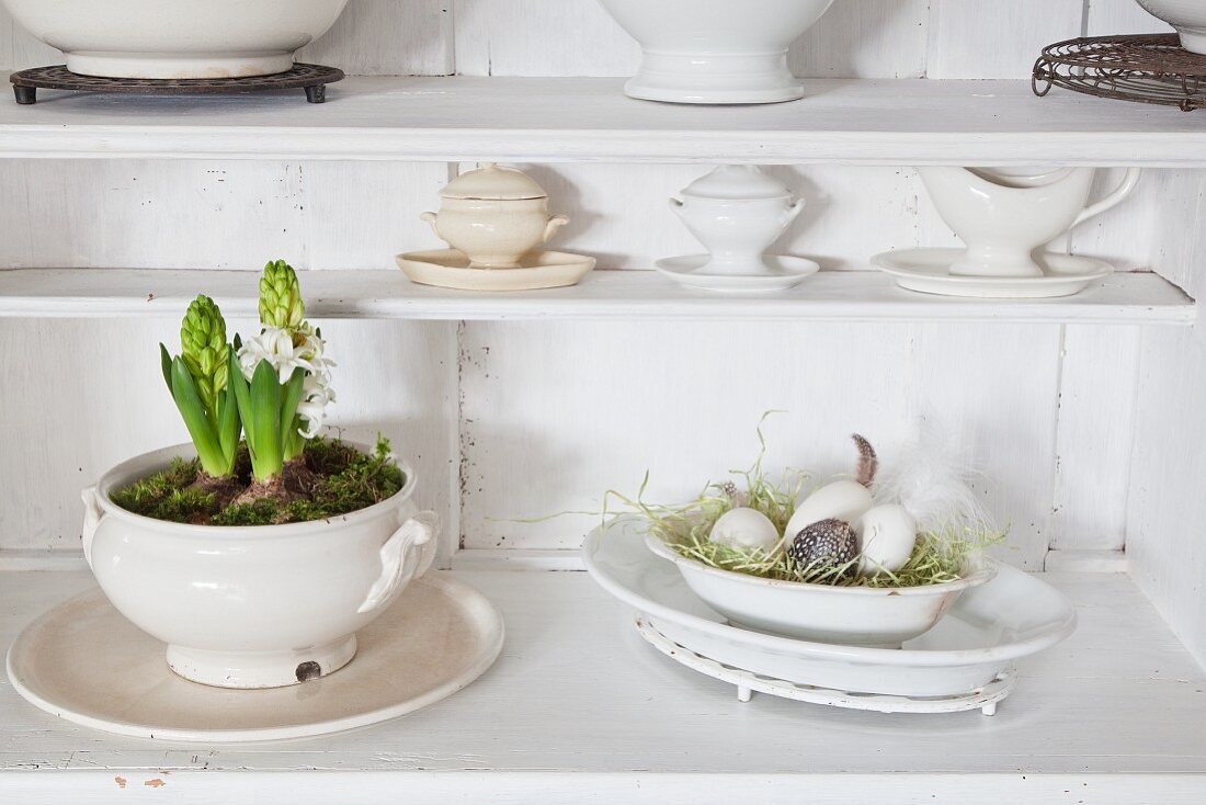 Soup tureens plantes wiith hyacinths and moss