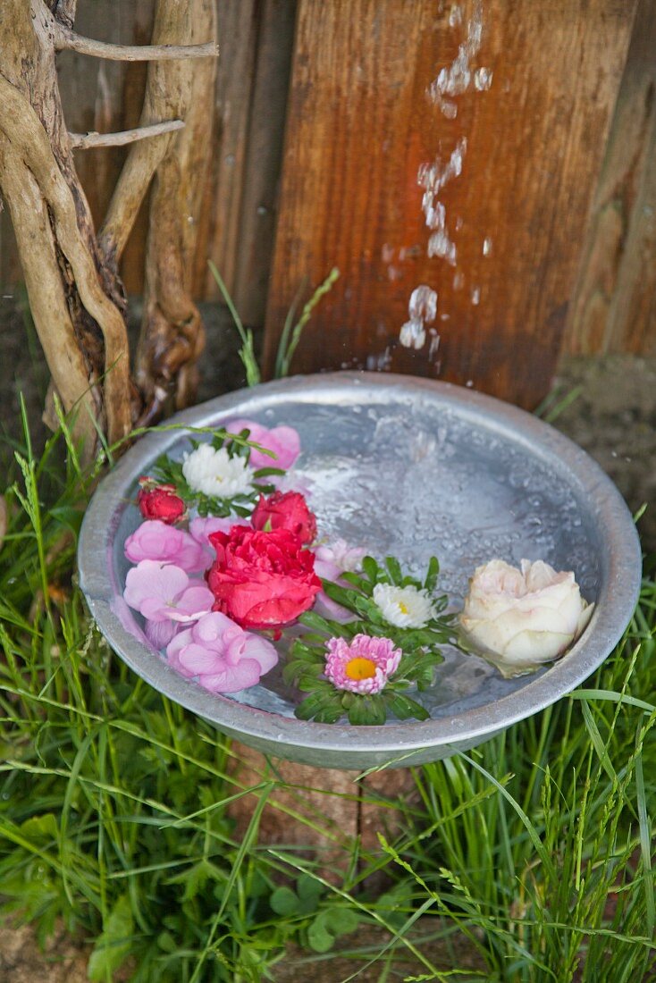 Wasser fliest in eine Schüssel mit schwimmenden Blüten