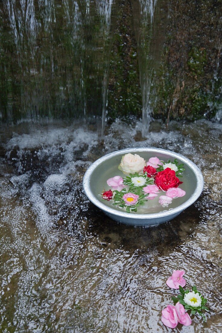Flowers floating in zinc bowl of water in stream under waterfall