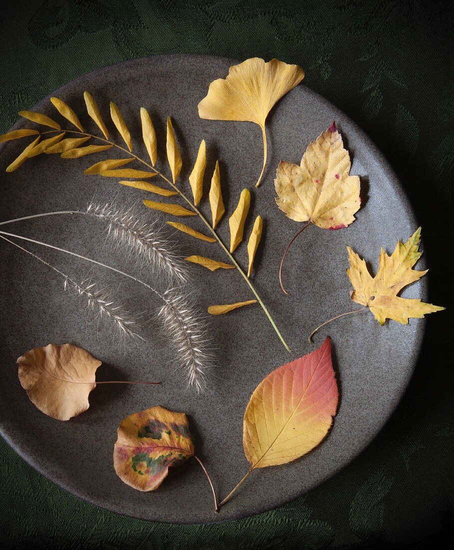 Yellow autumn leaves and grasses on plate