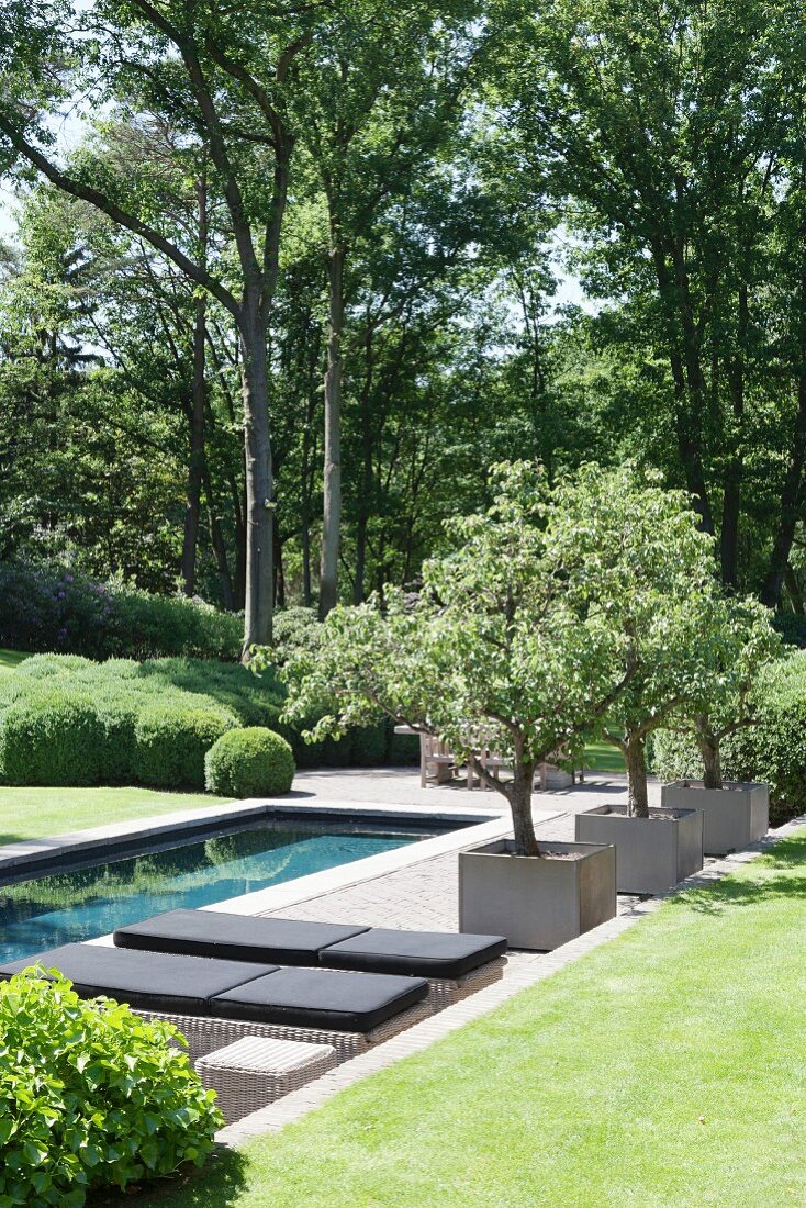 Loungers and trees next to pool in well-tended garden