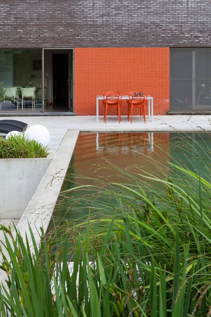 Modern brick extension with concrete terrace and plant in pool