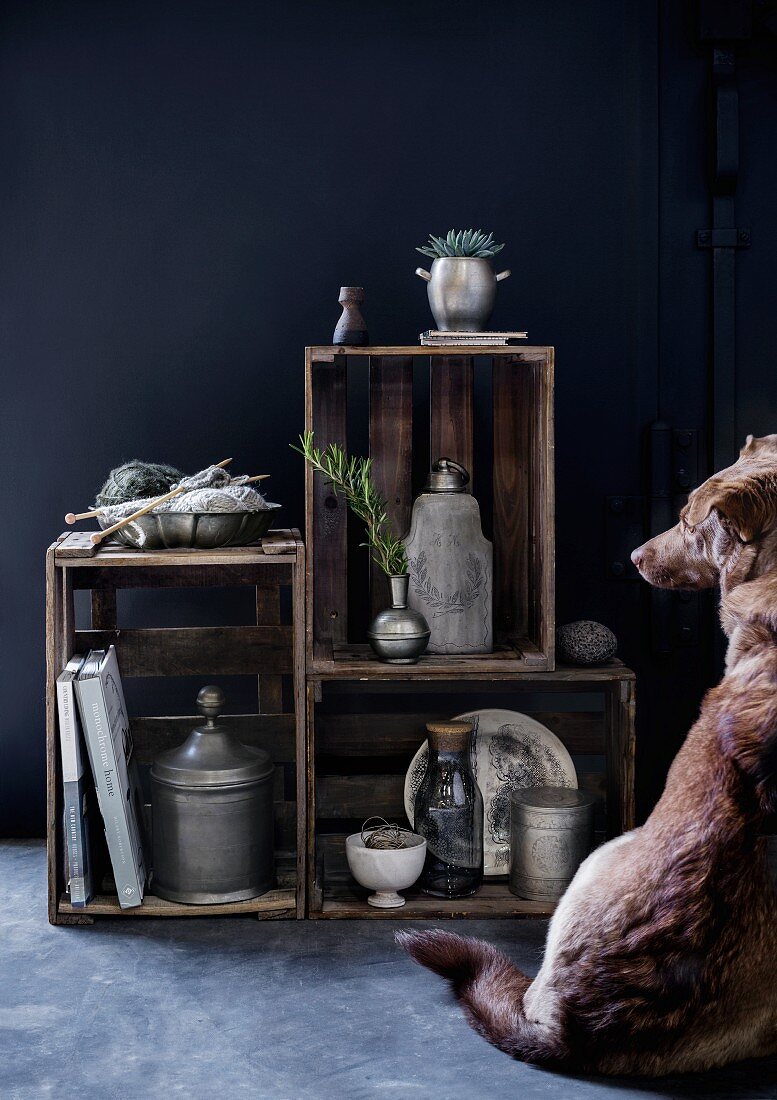 Hund sitzt vor einem Regal aus alten Holzkisten mit Zinngefäßen