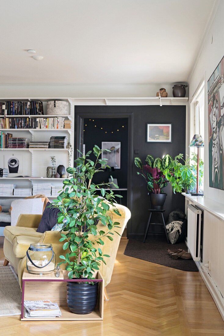 Wohnbereich mit Polstercouch, Grünpflanzen und Bücherregal neben schwarzer Wand