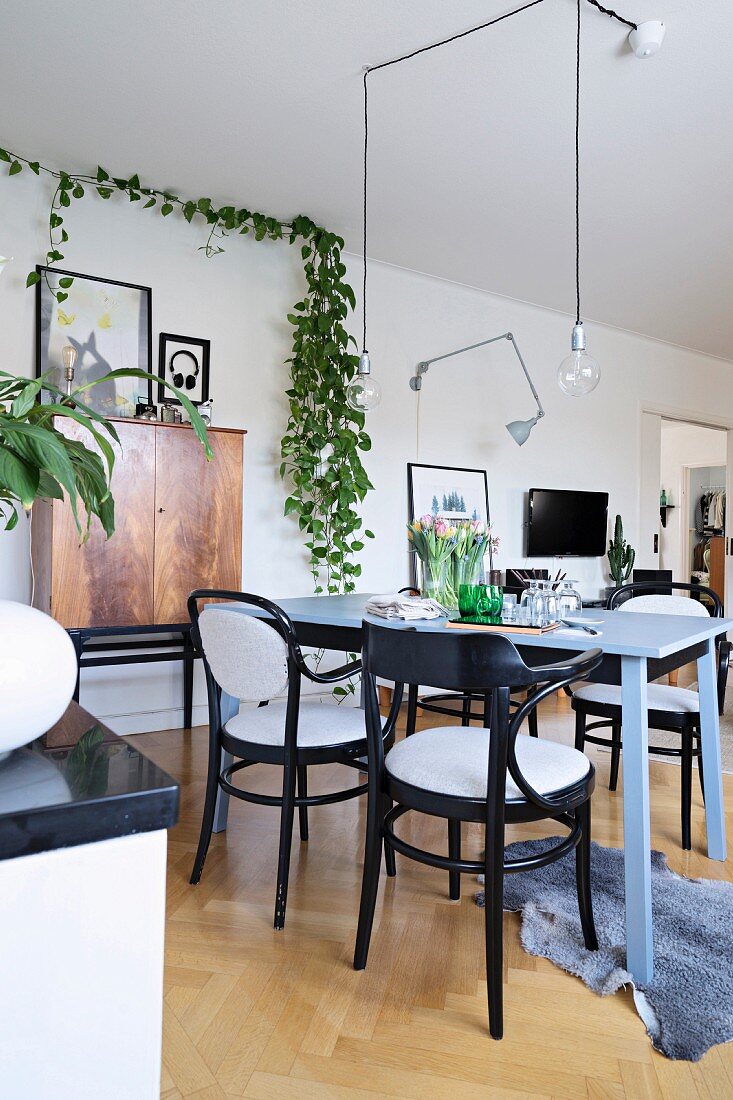 Schwarze Bugholzstühle an graublauem Holztisch in offenem Wohnbereich
