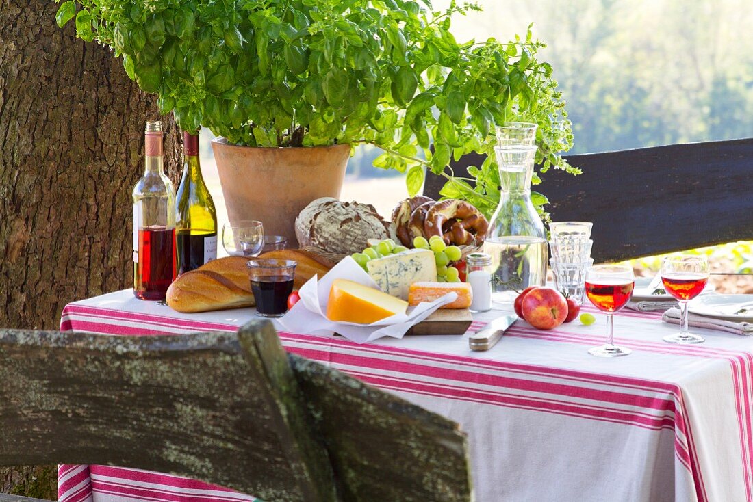 Gedeckter Tisch mit Basilikumpflanze, Brot, Käse, Wein und Wasserkaraffe im Grünen