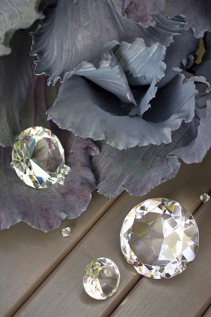 Silbergrauer Rotkohlkopf und Deko-Glasprismen mit Spiegelung von Herbstfarben