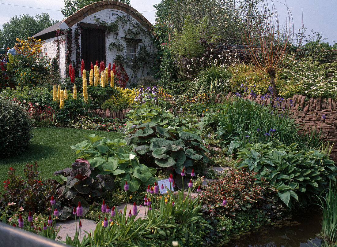 Garden view with lupins