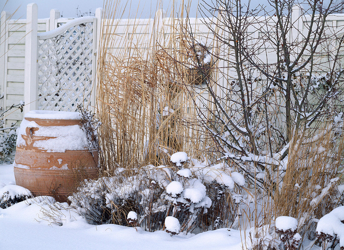 Staudenbeet im Winter im 3. Jahr