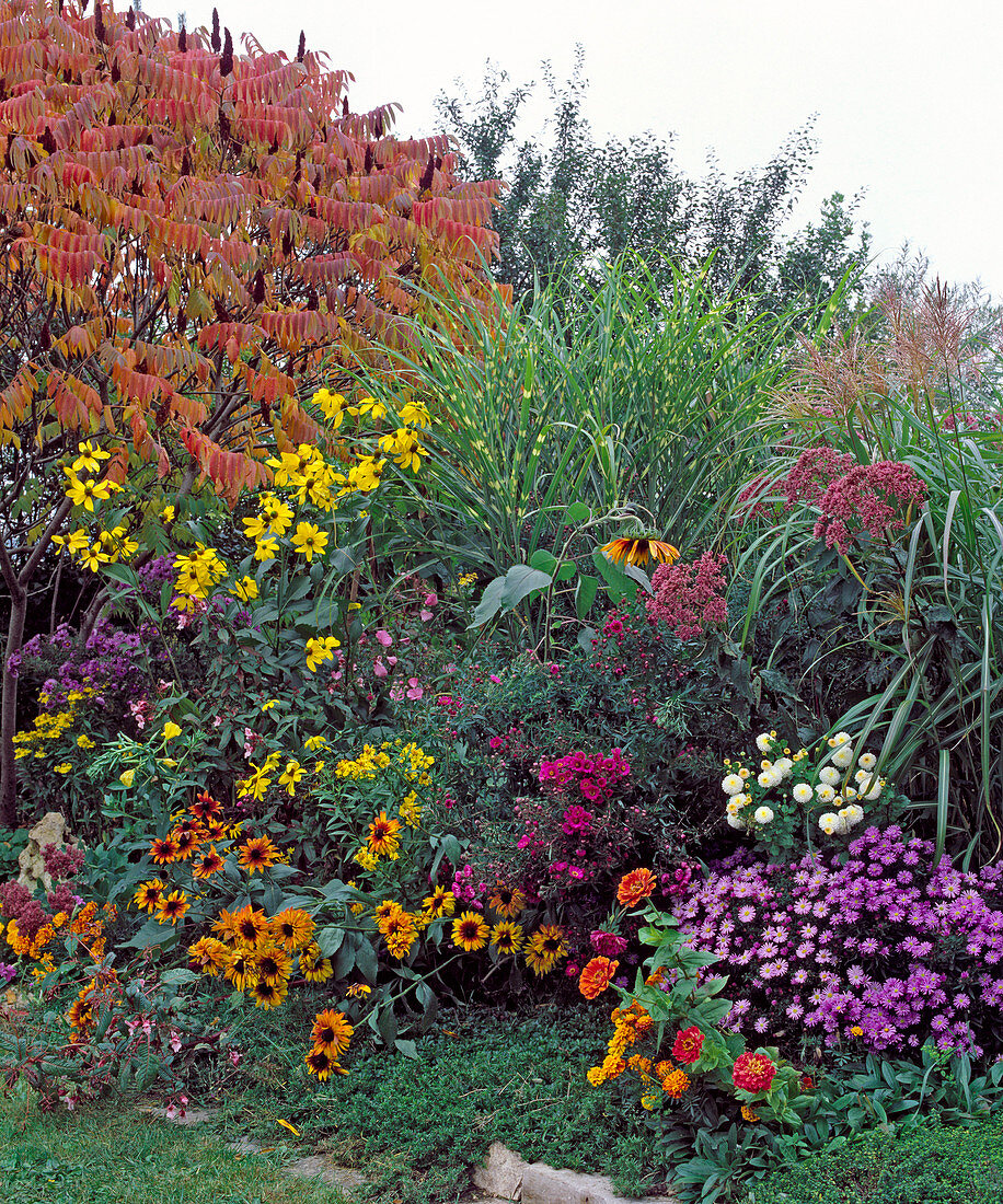 Blick in den Garten