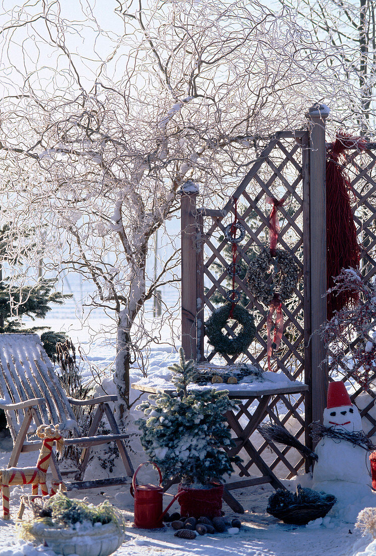 Garden in winter