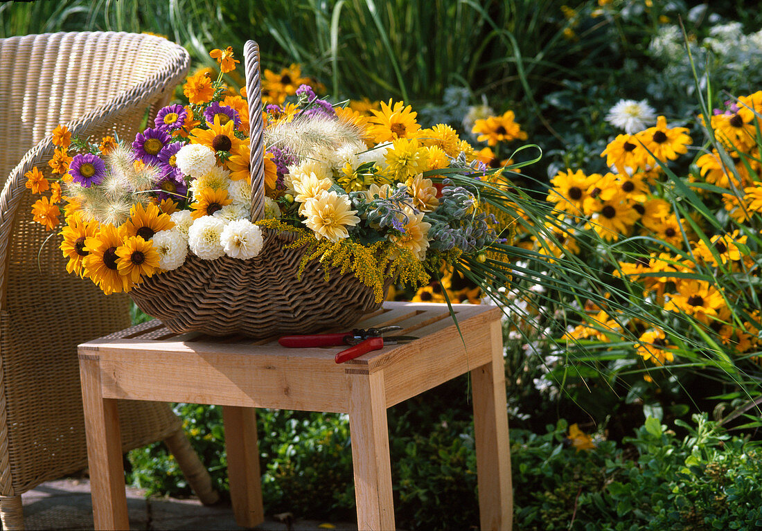 Korb mit frisch geschnittenen Sommerblumen für einen Strauß