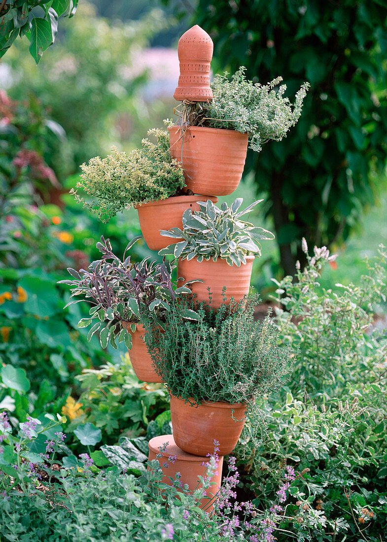 Plant the herb tower