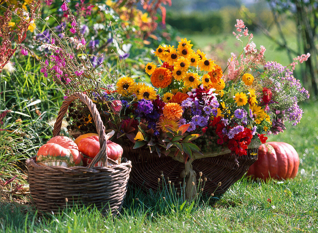 Basket with autumn flowers, Rudbeckia 'Marmelada', asters