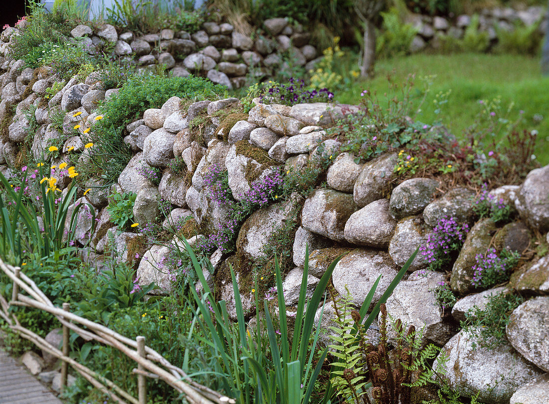Wall of natural stones (pond stones)