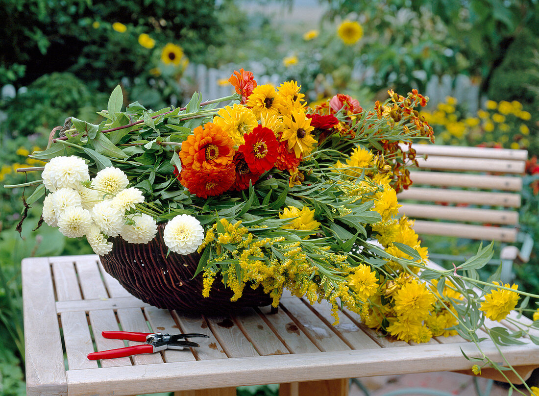 Blumen für Strauß aus dem Garten schneiden