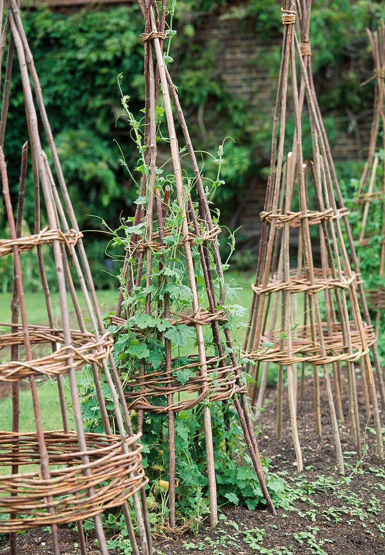 Climbing frame made of willow branches