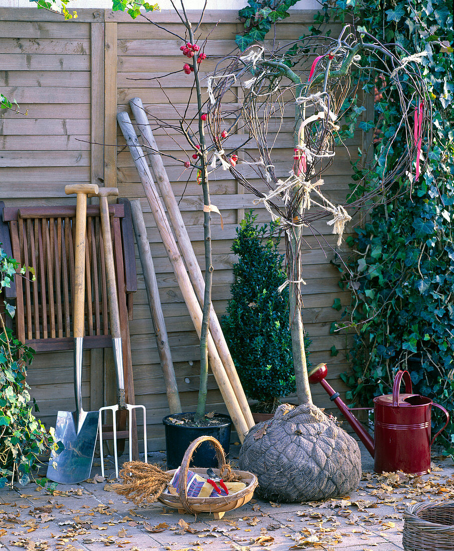 Garden tools for planting trees