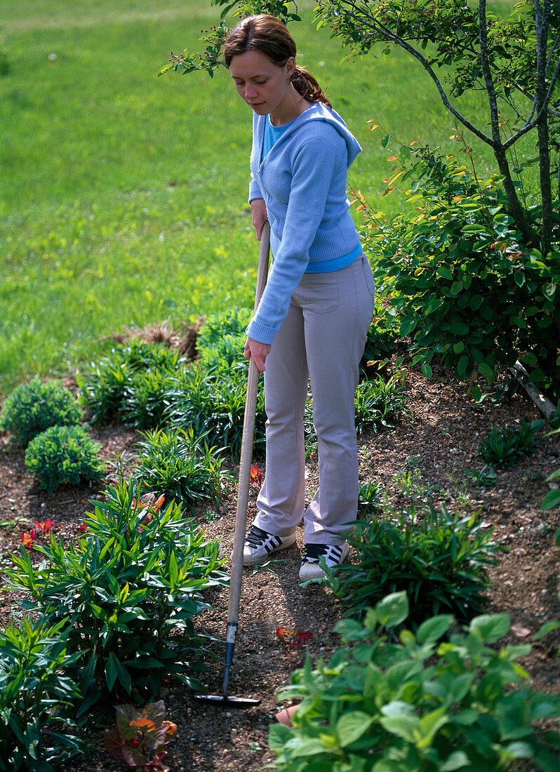 Young woman chopping in the perennial flowerbed