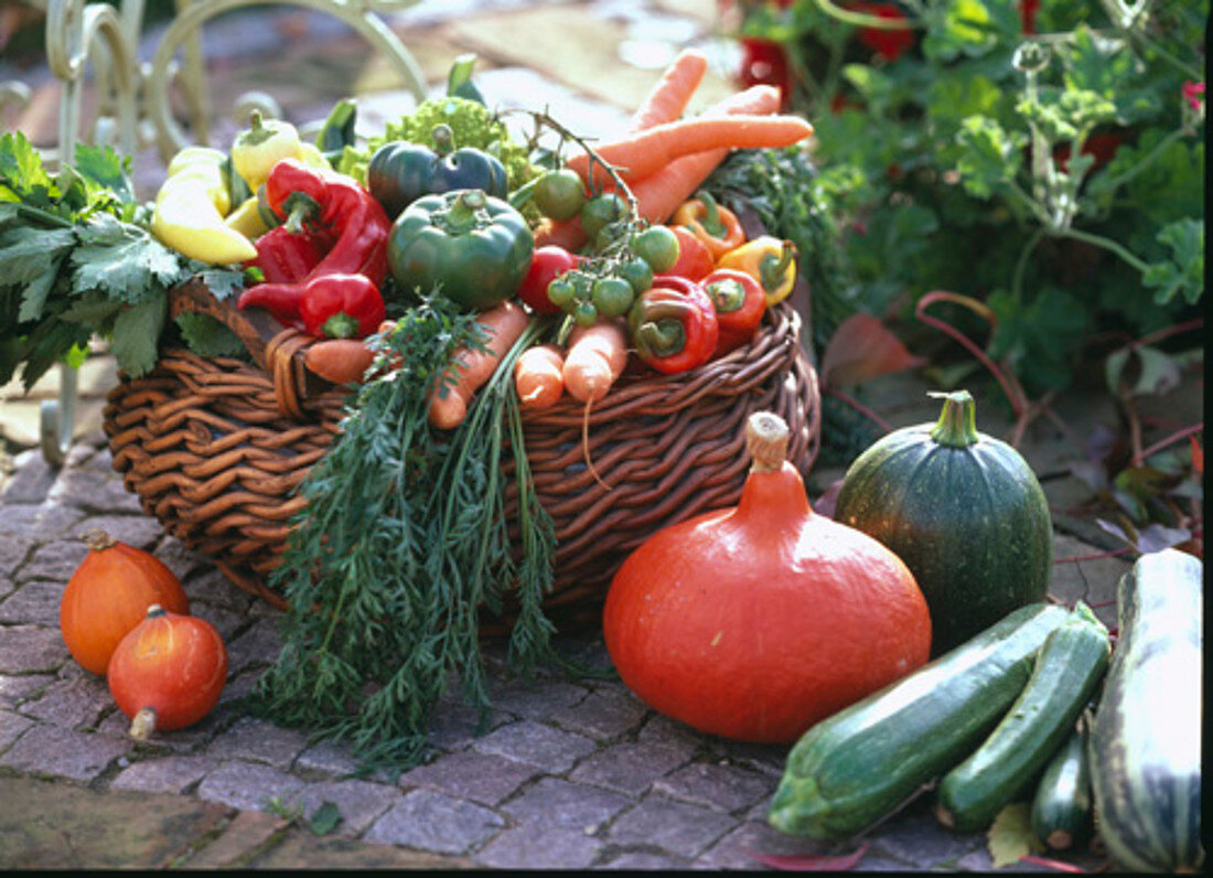 Gemüsekorb: Capsicum / Paprika, Daucus / Karotten