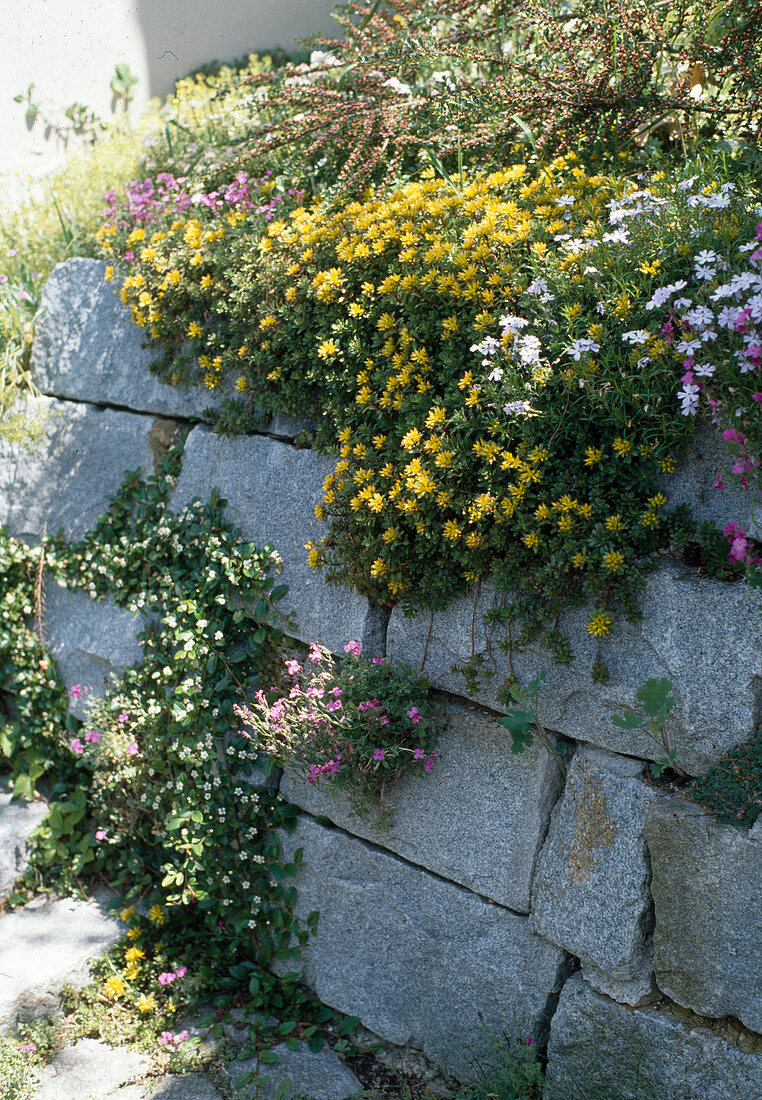 Wall of granite blocks planted with perennials