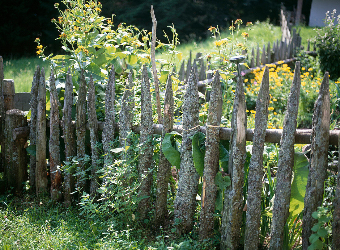 Cottage garden fence