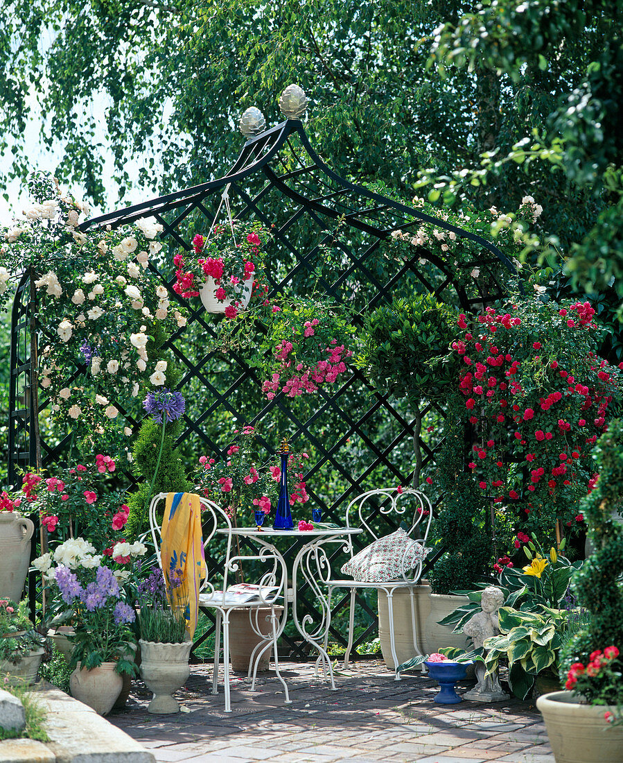 Rose arbor with branches of roses, bushes and hanging baskets
