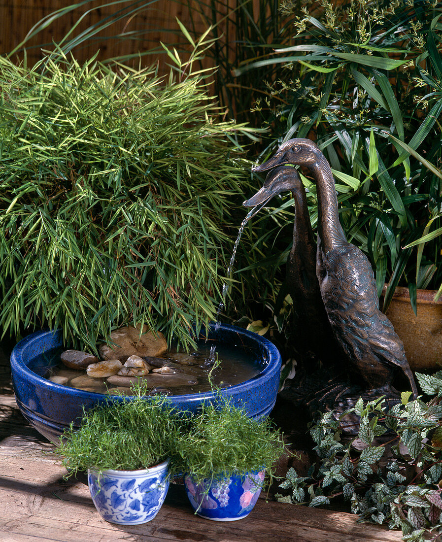 Running ducks as Gargoyles, blue bowl with gravel, Pogonatherum
