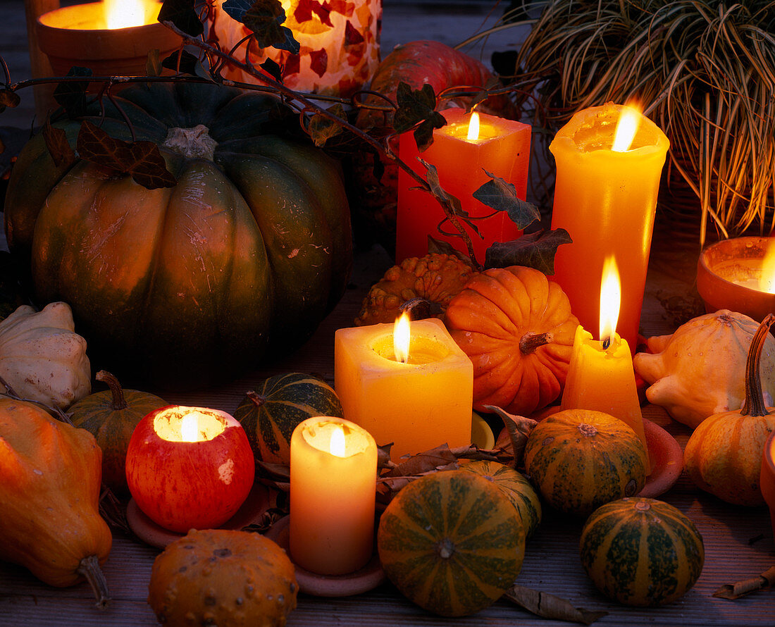 Zierkürbisse und Kerzen / Halloween