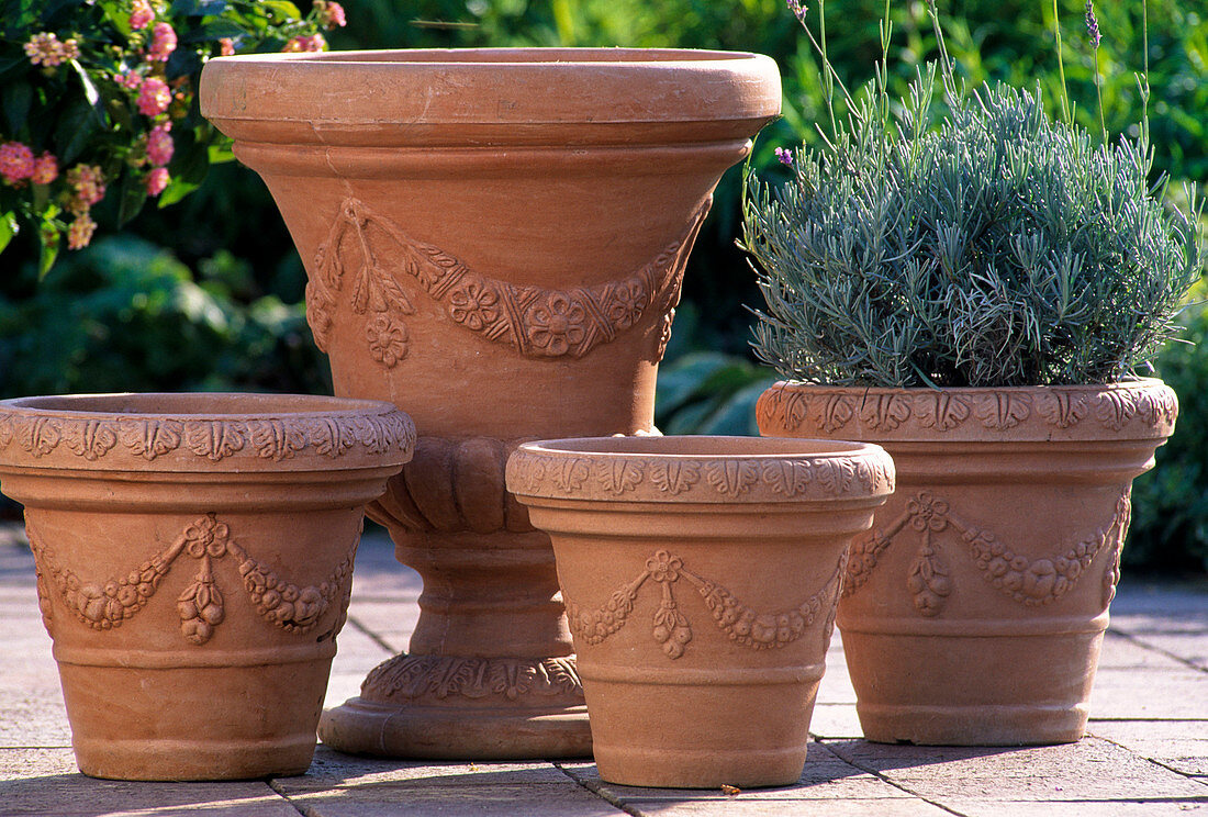 Plastic pots for potted plants
