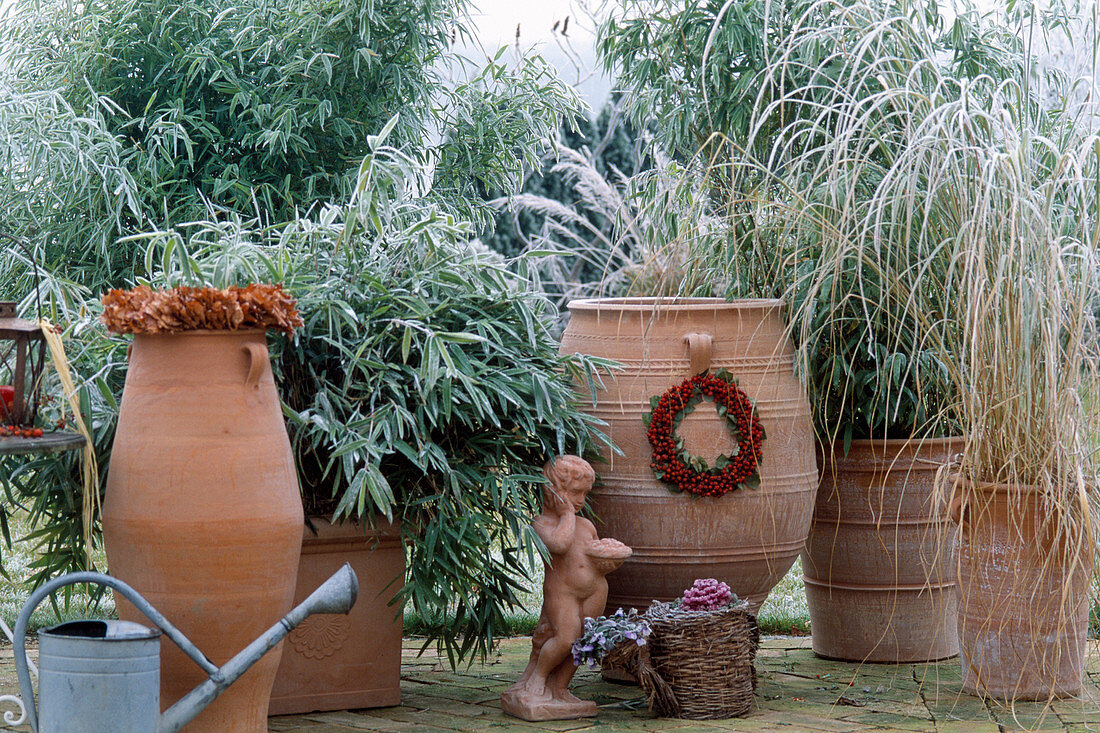 To overwinter grasses outdoors