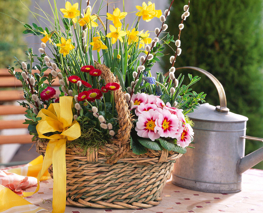 Korb mit Frühlingsblumen fertig bepflanzt