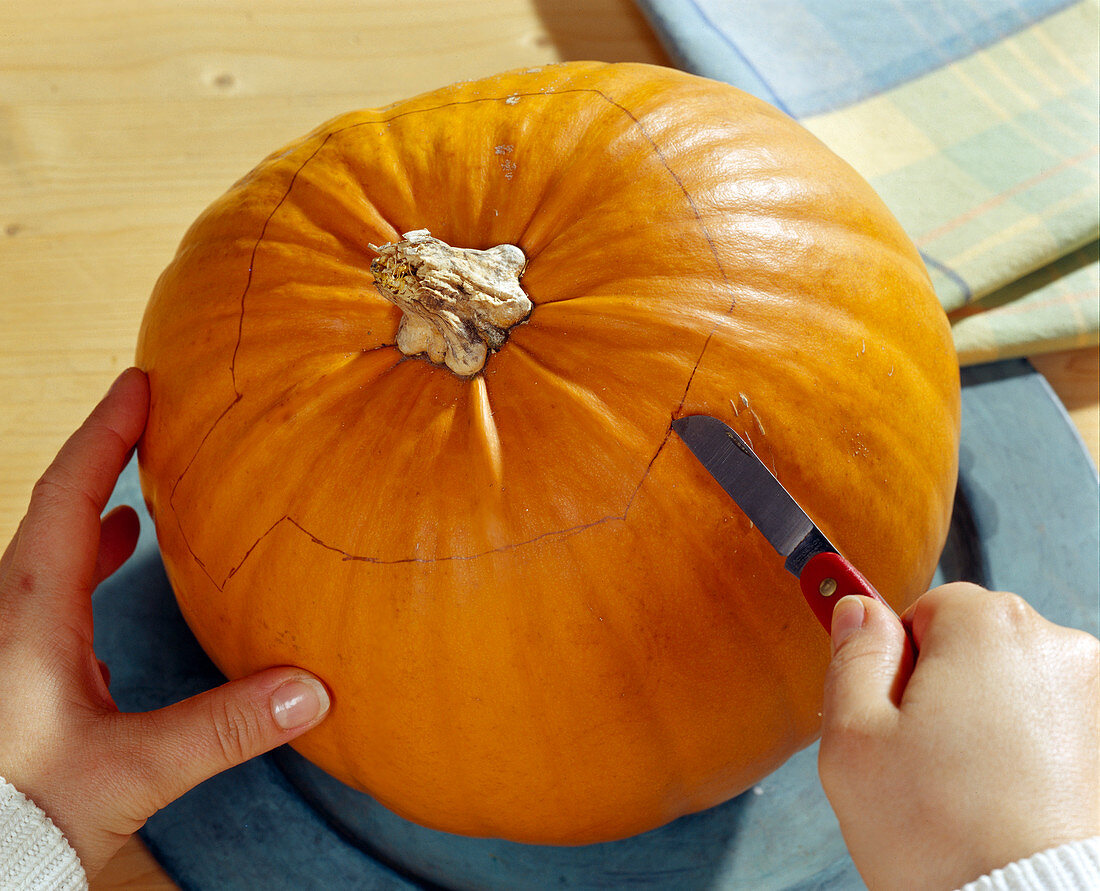 Hollowing out the pumpkin - Cut out the lid with sharp knives