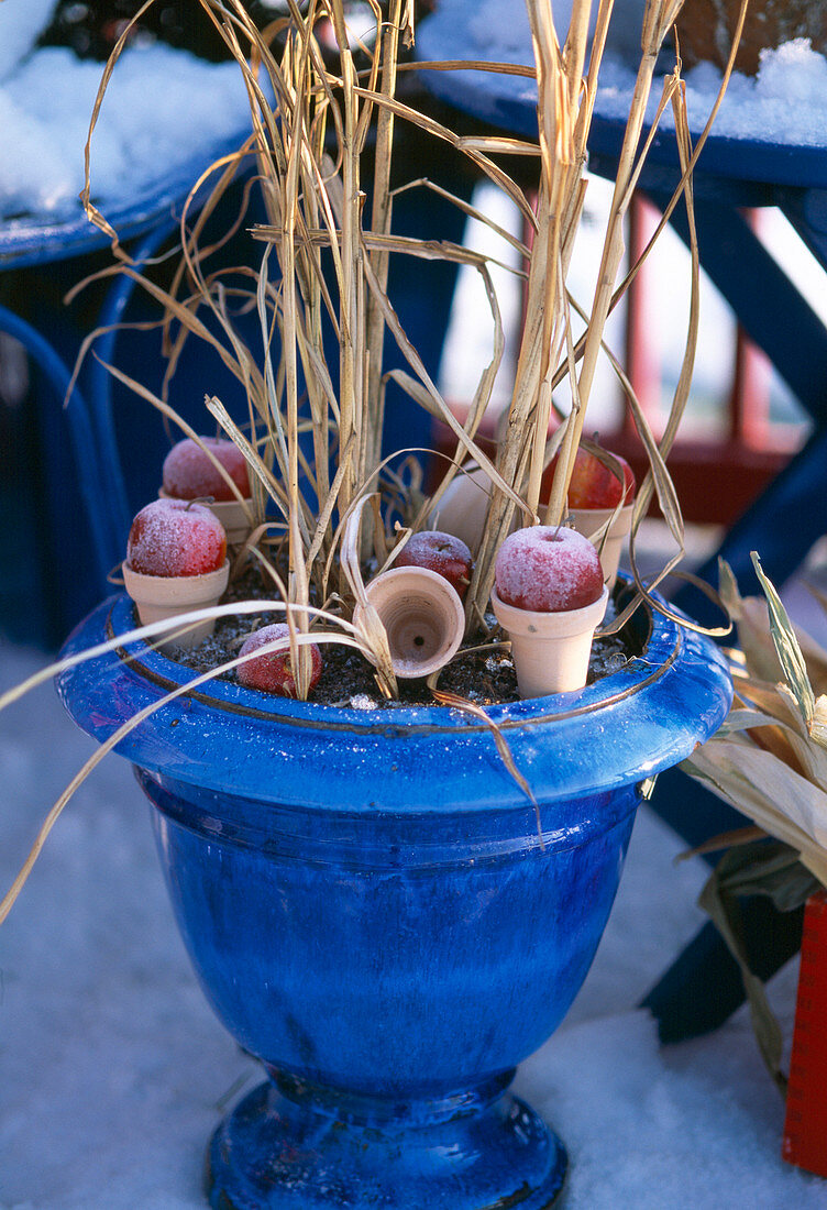 Grass in blue glazed pot with apples in small clay pots