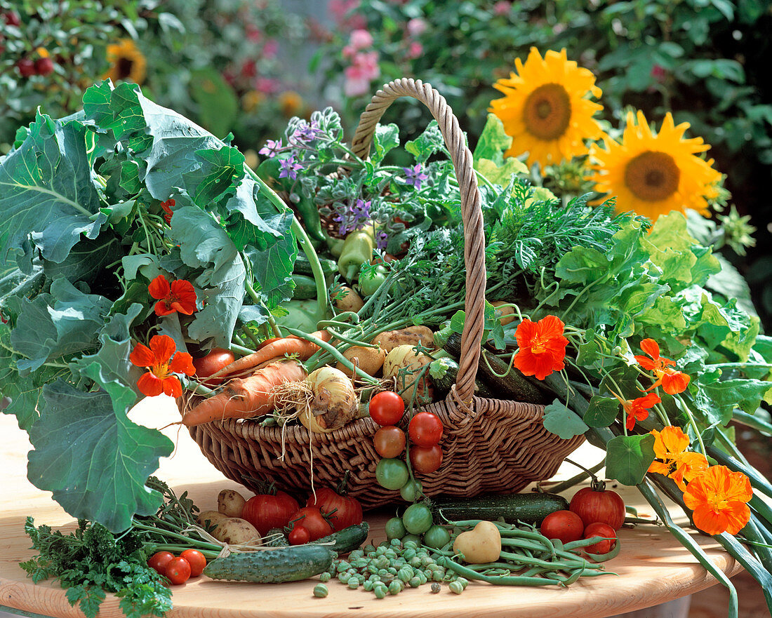 Harvest basket with carrots, tomatoes, onions, potatoes, cucumbers
