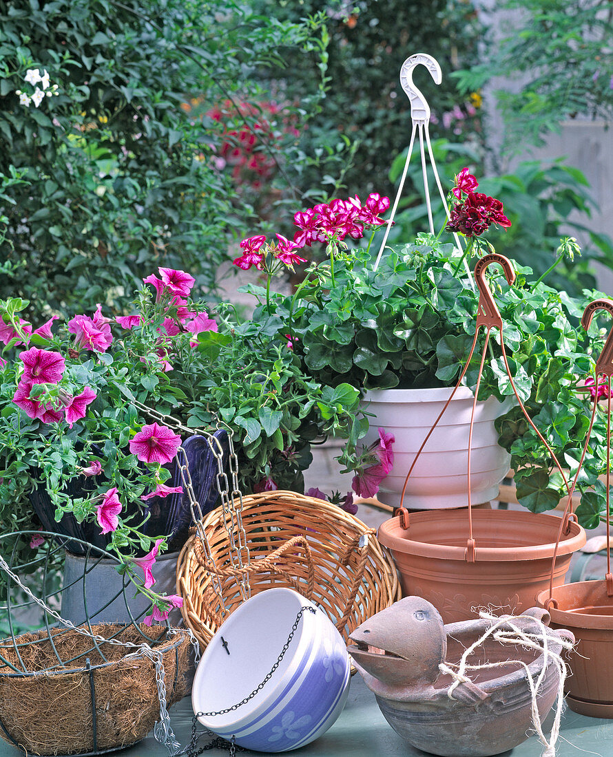 Various hanging wire basket, plastic hanging baskets with water storage
