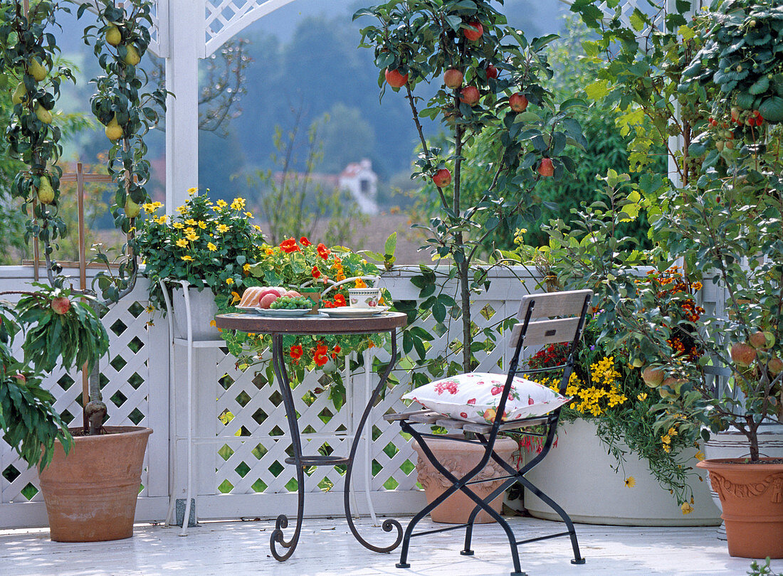 'Fruits on the balcony; Apples, pears, strawberries, tropaeolum'