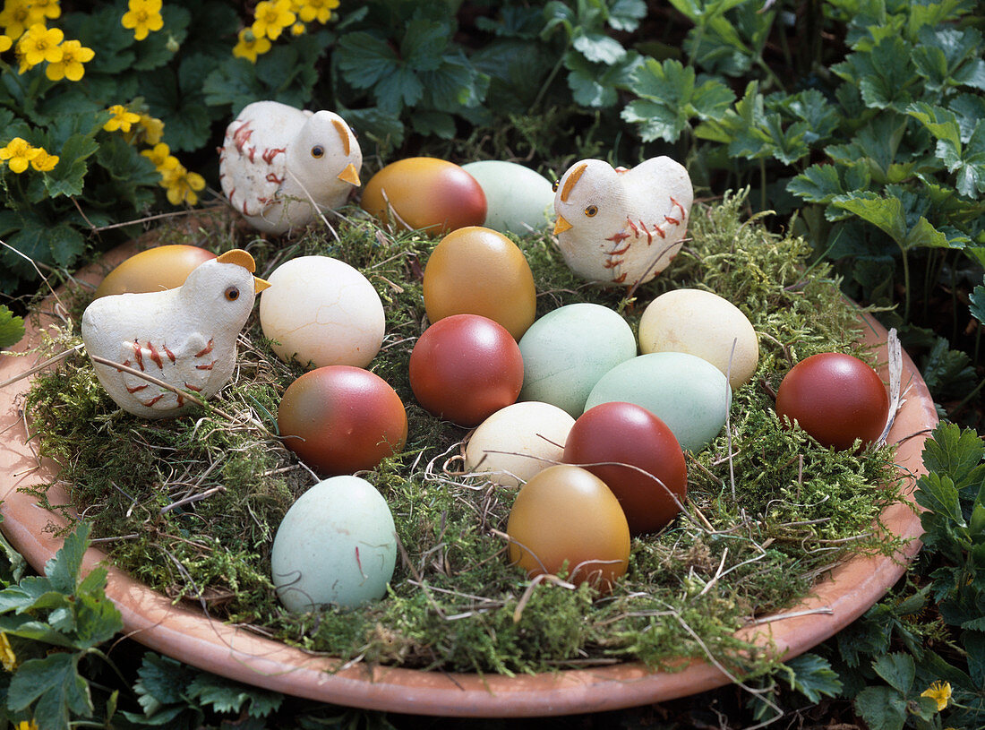 Easter basket with colored eggs and chicks