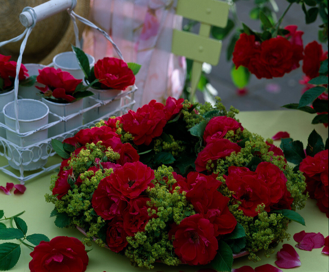 Kranz auf Moosring mit Rosenblüten 'Flammentanz' / Kletterrose