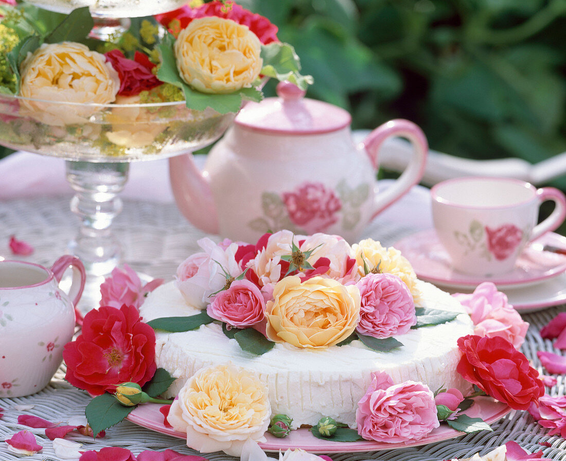 Cream cake with flowers of historic roses