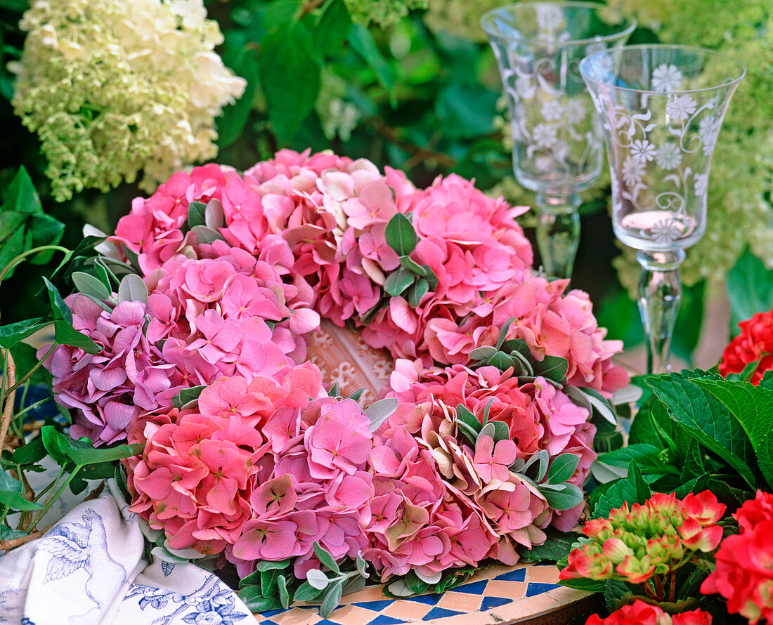 Kranz aus Blüten von Hydrangea macrophylla / Hortensie