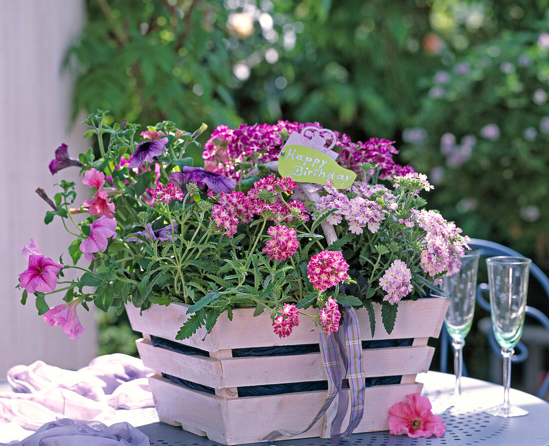 Basket with balcony flowers as a gift