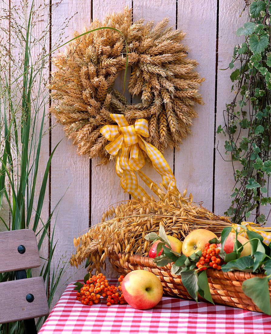 Wreath of wire with wheat eart, oats, apples and sorbus